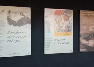 В кинотеатрах партнера проекта - «Москино» прошли показы фильмов «Недели арктического кино».